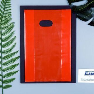 Túi Hột Xoài PE EIG