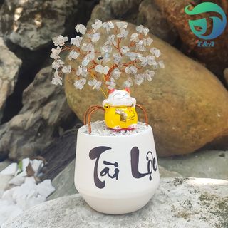 Cây Hoa Đá Xà Cừ Hồng Tự Nhiên Cầu Tài Lộc May Mắn Dùng Để Trang Trí