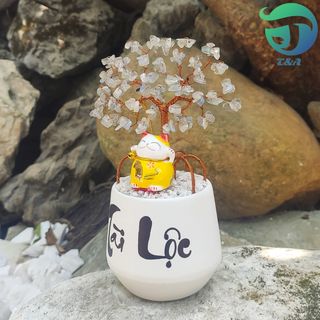 Cây Hoa Đá Xà Cừ Hồng Tự Nhiên Cầu Tài Lộc May Mắn Dùng Để Trang Trí