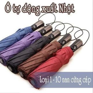 Ô bấm tự động