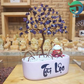 Cây Đá Thạch Anh Màu Tím Nghệ Thuật Làm Đẹp Không Gian Nhà Bạn Cây Đá Tài Lộc May Mắn