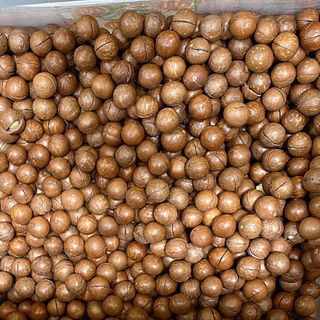 Hạt mắc ca 500gr - Úc