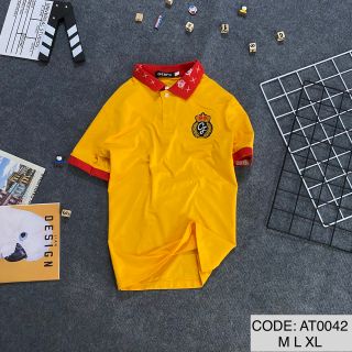 Áo thun họa tiền thêu bó tay bo cô giá sỉ
