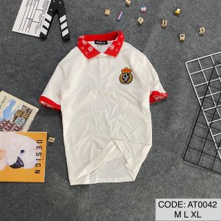 Áo thun họa tiền thêu bó tay bo cô