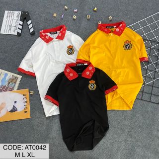Áo thun họa tiền thêu bó tay bo cô