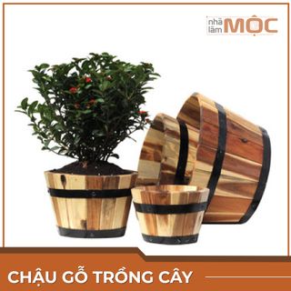 Chậu gỗ tròn trồng cây, trồng hoa - Size M