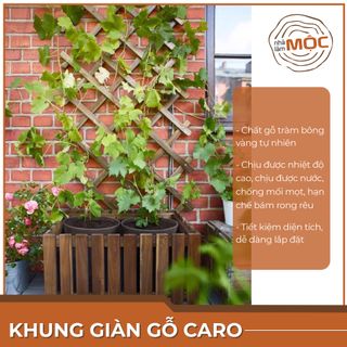 Khung hoa leo xếp gọn gàng bằng gỗ