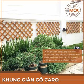 Khung hoa leo xếp gọn gàng bằng gỗ