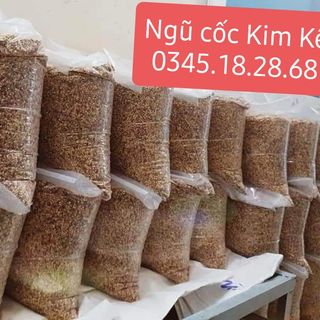 Ngũ cốc Kim Kê - thức ăn chuyên biệt cho gà đá