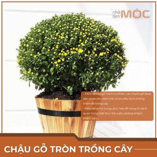 Chậu gỗ trồng cây cao cấp tròn - Size L