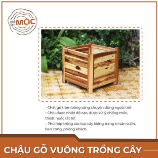 Chậu gỗ trồng cây ban công - Hình vuông - Size XL