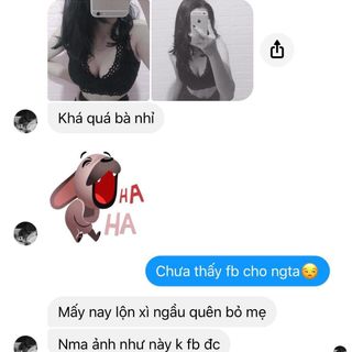 Mầm đậu nành hồng sâm matcha