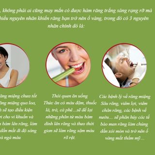 VSMILE kem đánh răng bị caphe