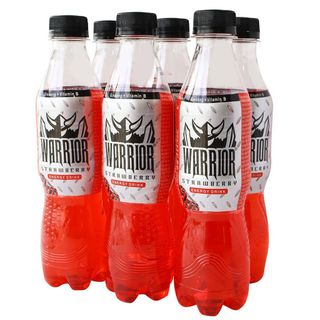 SLL - Warrior chai 330 ml