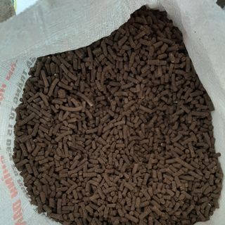 Phân trùn quế cho hoa lan