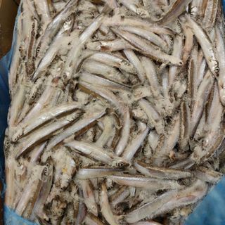 Cá trứng NK Nauy xếp vỉ 500gr tiện dụng.