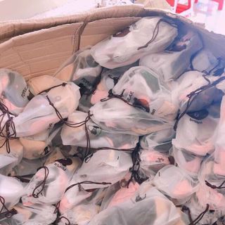 Tất gấu 1 sét 10 đôi