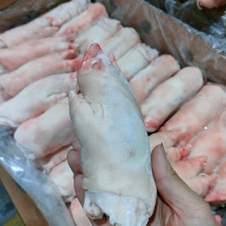 Móng giò trước