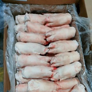 Móng giò trước