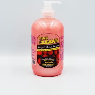 Sữa rửa tay sạch khuẩn Vina Cleans 500ml