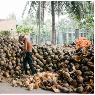 DẦU DỪA TRUYỀN THỐNG BẾN TRE