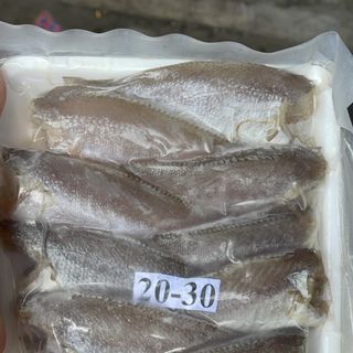 Cá đù 1 nắng