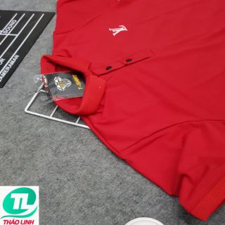 ÁO THUN CỔ TRỤ CHÂN SƠ MI- DO TƯƠI 009