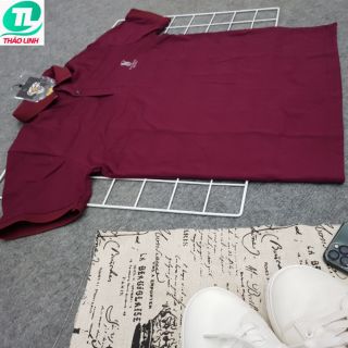 ÁO THUN CỔ TRỤ CHÂN SƠ MI- TIM CẨM 001
