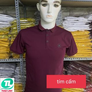 ÁO THUN CỔ TRỤ CHÂN SƠ MI-TIM CẨM