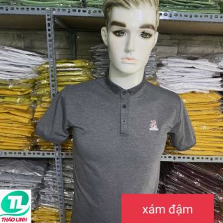 ÁO THUN CỔ TRỤ CHÂN SƠ MI-XAM DAM 0016