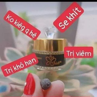 Viên thảo mộc BRIAR (1 hộp 1 0viên)