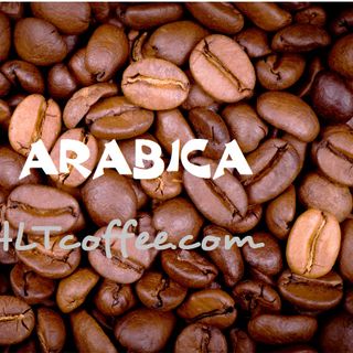 Cà phê Arabica (CẦU ĐẤT)