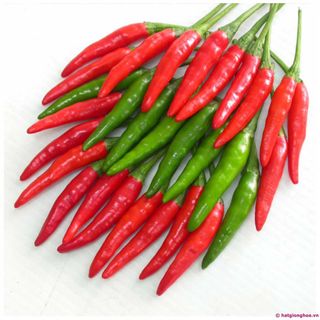 Hạt giống ớt chỉ thiên lai Rạng Đông HGORD001