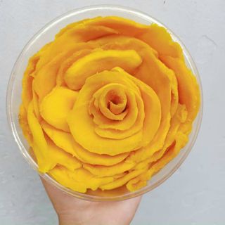 Xoài sấy dẻo ( hũ pet 300gr)