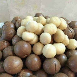 Hạt macca tây nguyên ( hũ pet 500gr)
