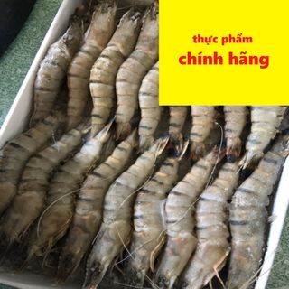 Tôm sú size 35 con đông lạnh - Ship nguyên thùng 10kg