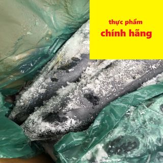 Cá nục Nhật Bản size 300-500 đông lạnh - Ship nguyên thùng 15kg