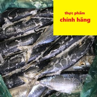 Cá nục Nhật Bản size 300-500 đông lạnh - Ship nguyên thùng 15kg