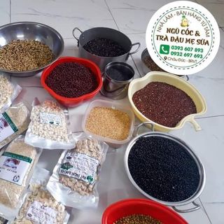 NGŨ CỐC LỢI SỮA MẸ TRÒN CON VUÔNG NHÀ LÀM