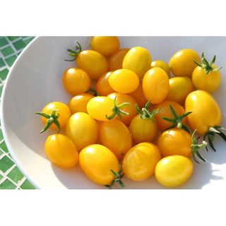 Cà Chua Bi Vàng - Chuẩn Organic