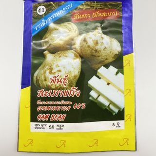 Hạt giống củ đậu, củ sắn Thái Lan HGNK002 giá sỉ