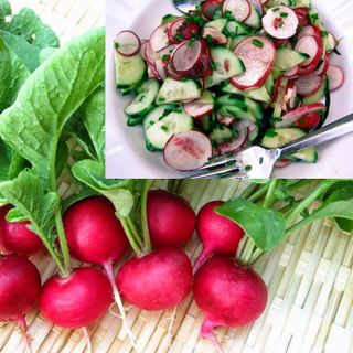 Củ Cải Đỏ - Chuẩn Organic