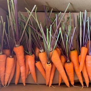 Cà Rốt Cọng Tím - Chuẩn Organic