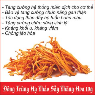 ĐÔNG TRÙNG HẠ THẢO SẤY THĂNG HOA HŨ 10G