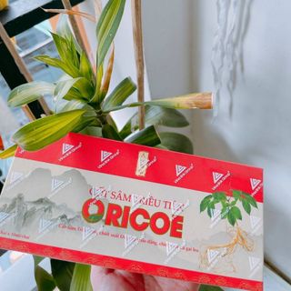 Cốt sâm Triều Tiên cao cấp cho sức khỏe