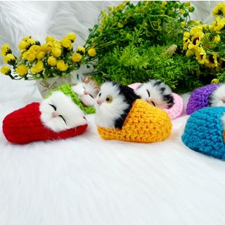 Mèo Nằm chiếc dép đan len