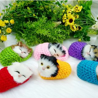 Mèo Nằm chiếc dép đan len