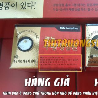 An cung ngưu hoàng tổ kén đỏ Kwangdong 10 viên chuẩn nội địa