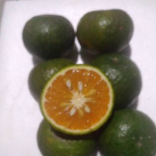 Cam sành miền Tây