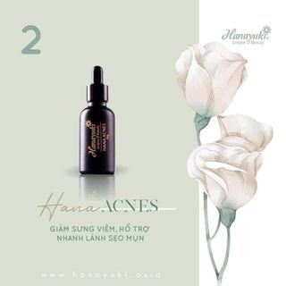 Serum Trị Mụn Hanayuki Acnes